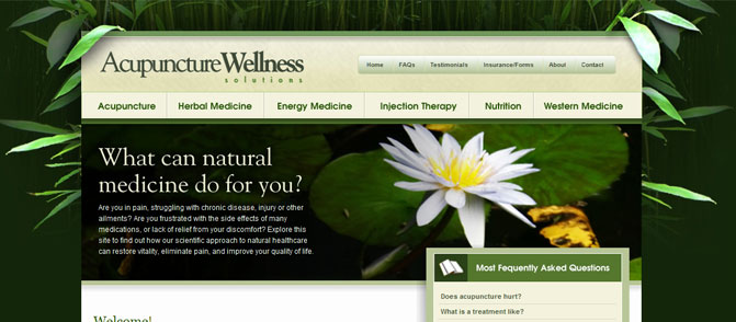 Acupuncture Wellness Solutions
